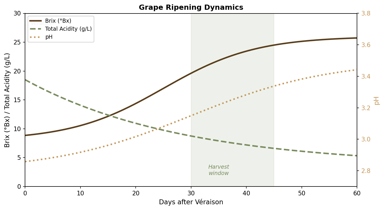 /images/grape-harvest/ripening-curve.png