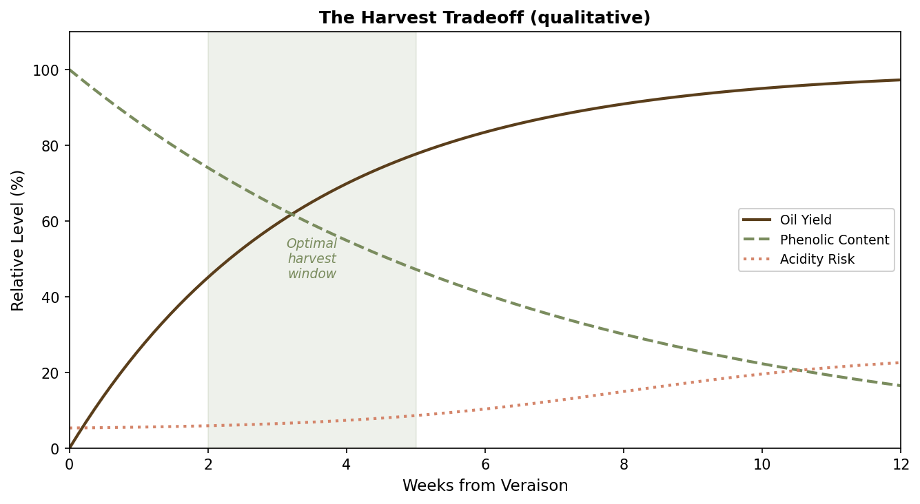 /images/olive-oil/harvest-tradeoff.png /images/olive-oil/harvest-tradeoff.png