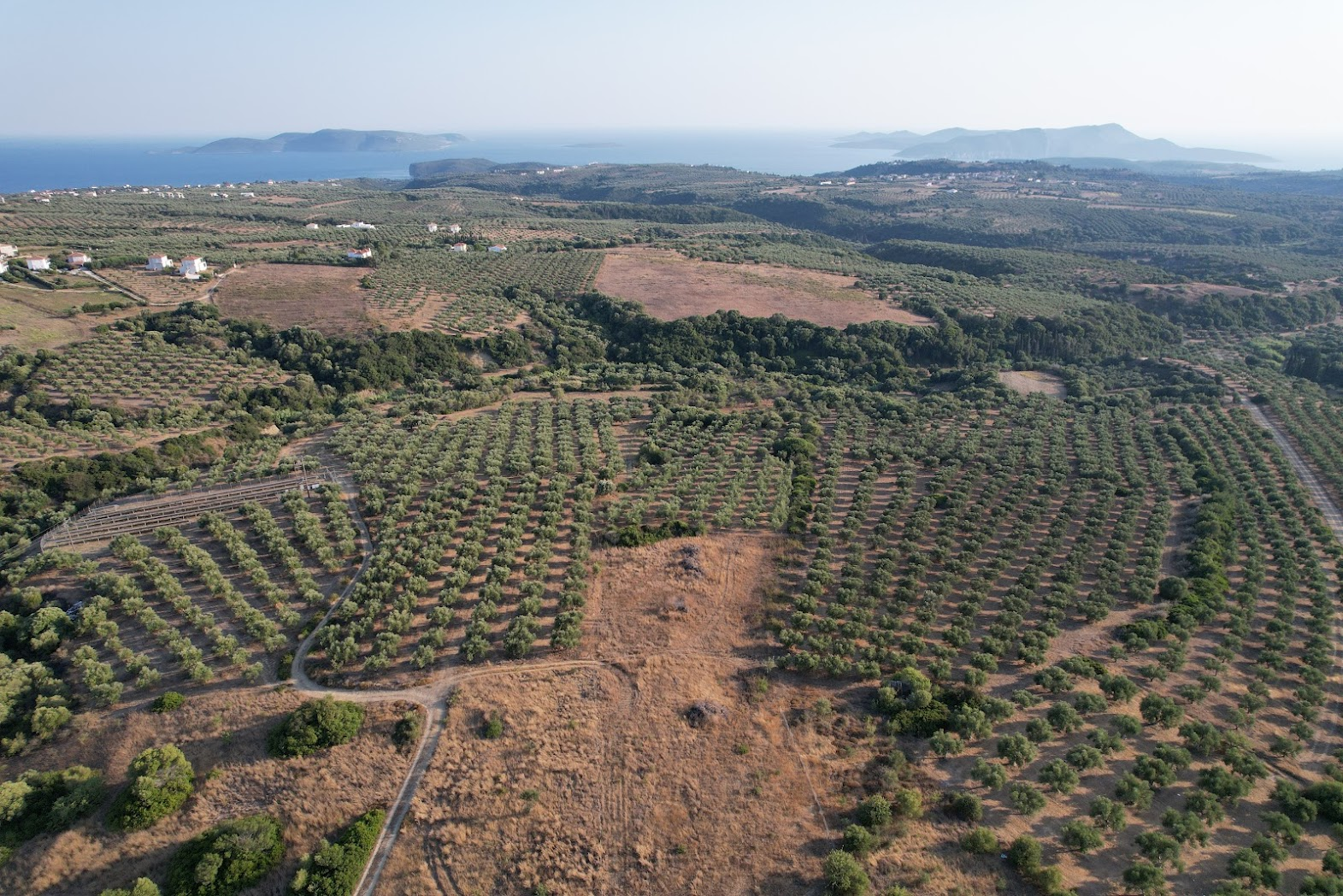 /images/phaos.png /images/phaos.png